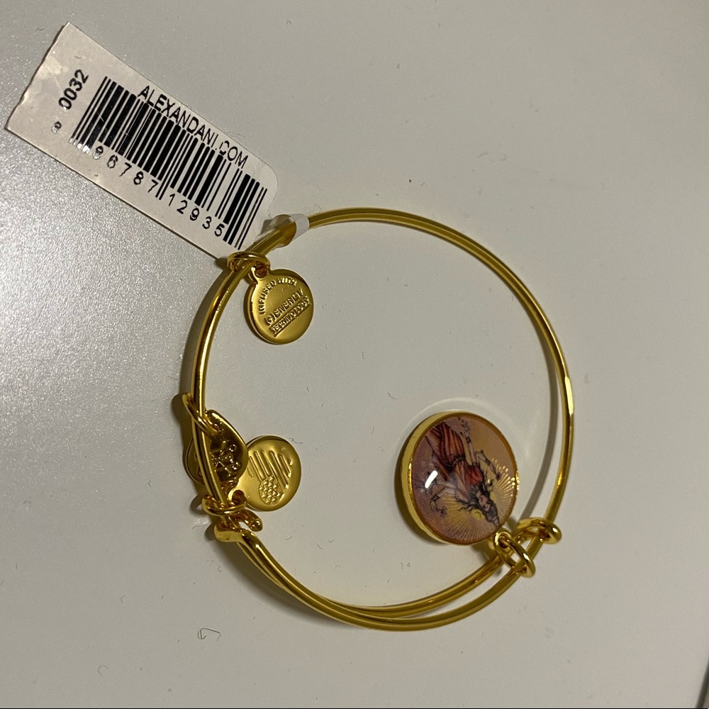 Alex and Ani Bracelet with Charms